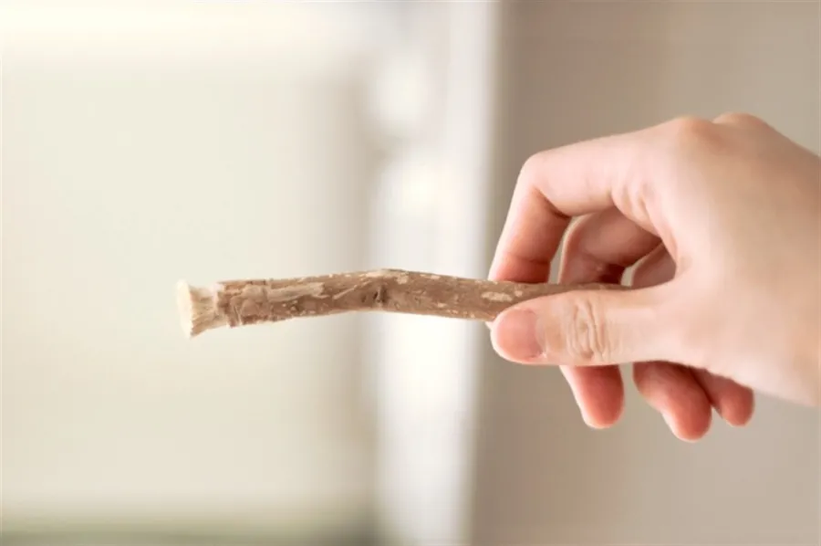 دائرة الافتاء العام توضح الضوابط الشرعية لاستعمال السواك للصائم