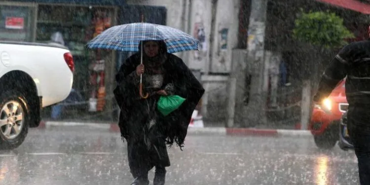 خبر سار لعشاق الأمطار والأجواء القطبية.. وتحذير من السيول 