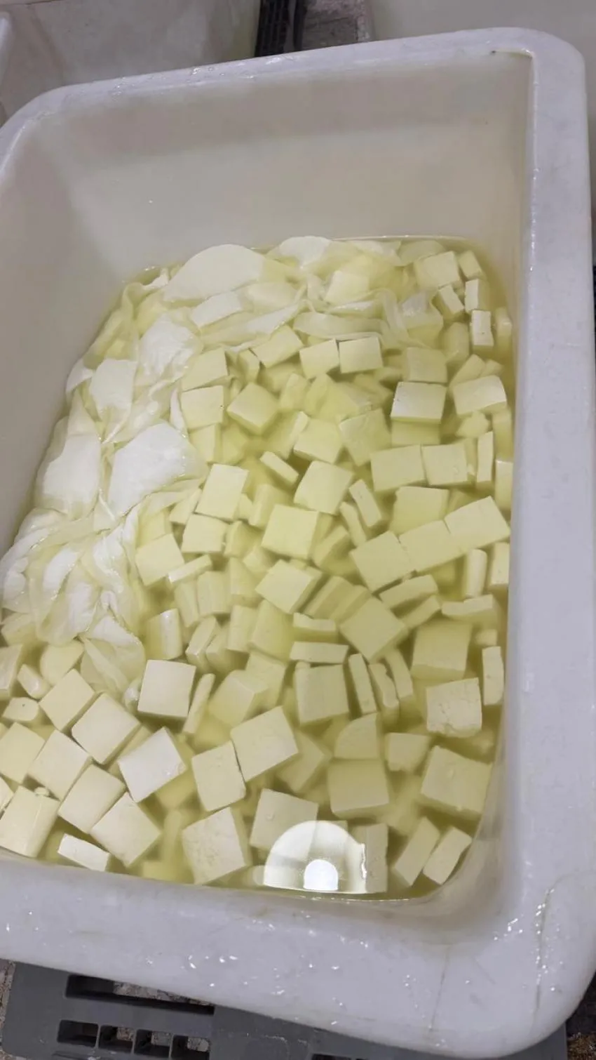 اغلاق مصنع البان في عمان واتلاف 10 اطنان من المنتجات المخالفة للقواعد الفنية