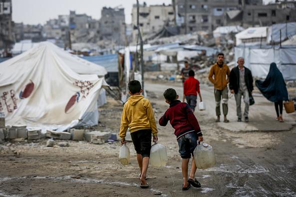 تفشي البراغيث يهدد صحة نازحي المواصي بغزة